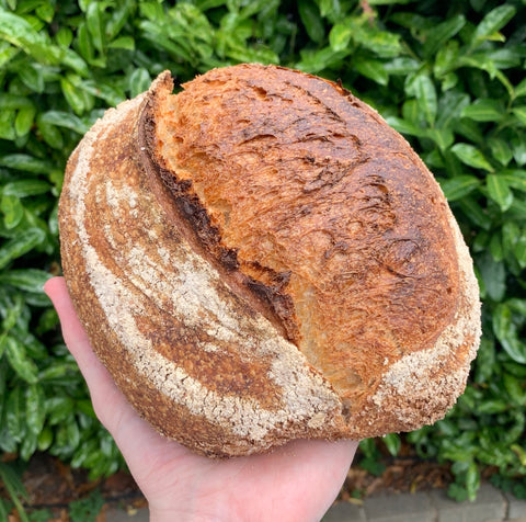Sourdough Country Loaf