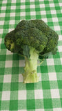 Fresh Broccoli